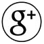 Google+ icon