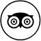 Social-Media--TripAdvisor